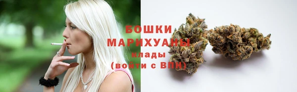 шишки Лихославль