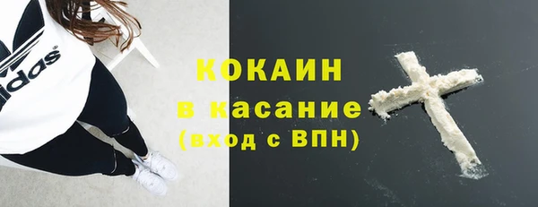 шишки Лихославль