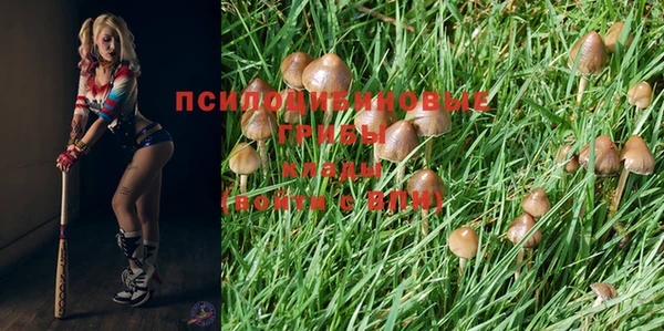 бутират Лиски