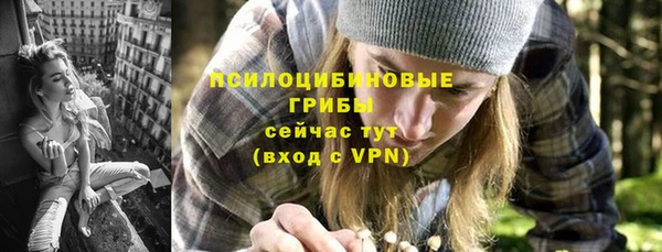 хмурый Липки
