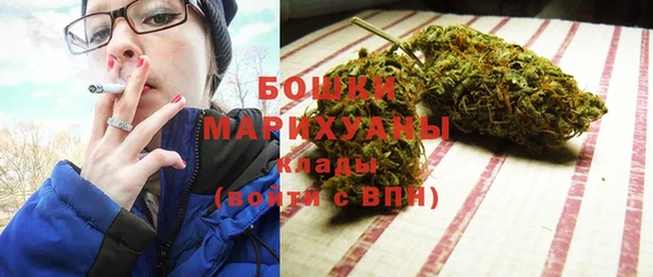 хмурый Липки