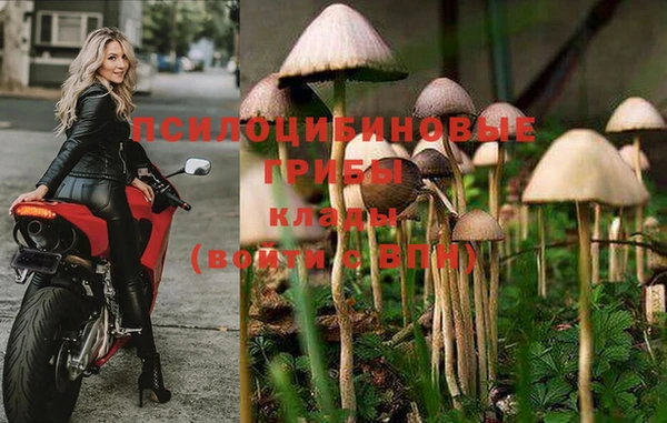 шишки Лихославль