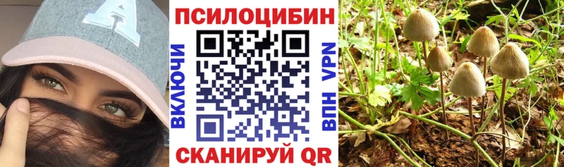 Псилоцибиновые грибы Psilocybe  наркошоп  МЕГА ТОР  Лениногорск 