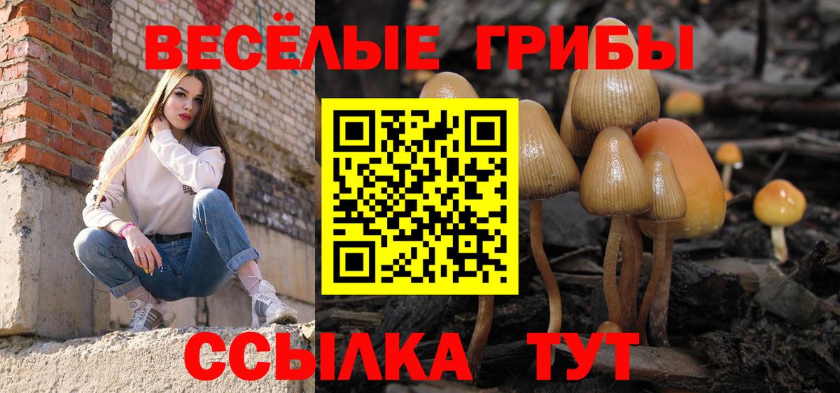 Лениногорск  Галлюциногенные грибы Psilocybe  Вход с VPN  Галлюциногенные грибы MAGIC MUSHROOMS 