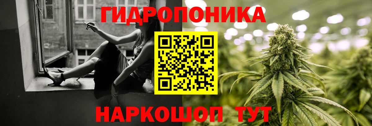 Каннабис White Widow  Вход с VPN  Лениногорск  Канабис индика 